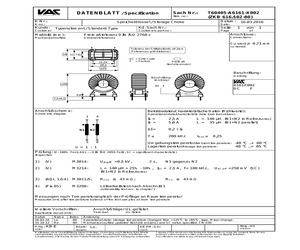 T60405-A6161-X002.pdf