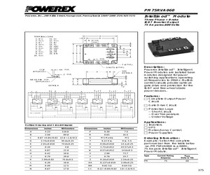 PM75RVA060.pdf