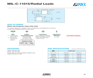 CK05BX100KPDIP.pdf