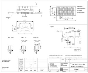 244424.pdf