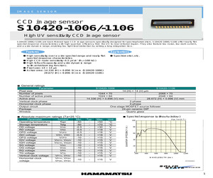 S10420-1006.pdf