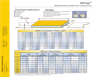 D15NV100B5PA.pdf