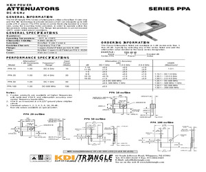 PPA100-20.pdf