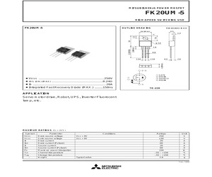 FK20UM-5J69Z.pdf