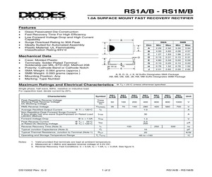 RS1MB.pdf