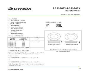 DS2106SY40.pdf