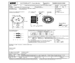 T60405-S6123-X363.pdf