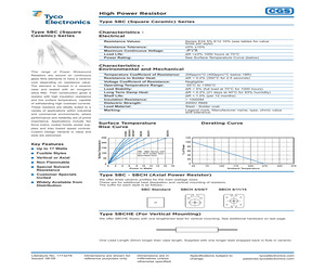 SBCLF10.pdf