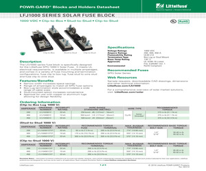 LFJ104001CST.pdf