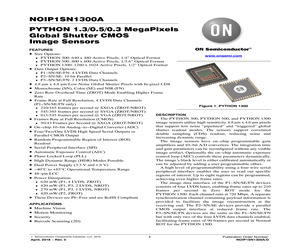 NOIP1FN0300A-QDI.pdf