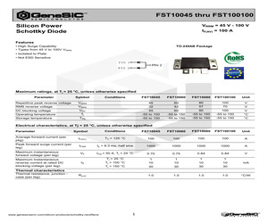 FST100100.pdf