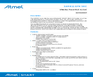 ATSAMB11G18A-MU-T.pdf