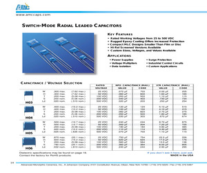 101H09N334ZQ4.pdf