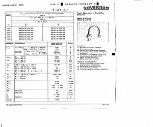 SKN2M100/06.pdf