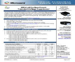 MSMBJ5.0CAE3.pdf