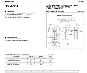 IS489E.pdf