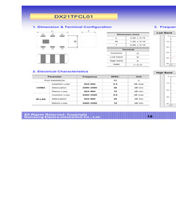 DX21TFCL01.pdf