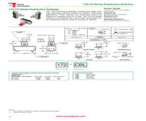 172/SLOTTED PLUNGER.pdf