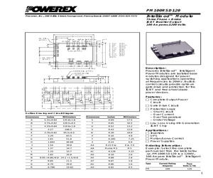 PM100RSD120.pdf