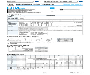 SRM10VB100M.pdf