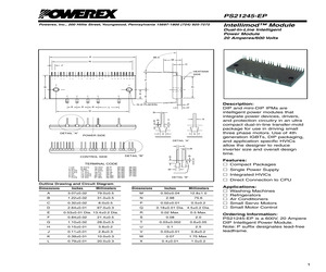 PS21245-EP.pdf