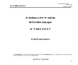 WYSBCVGX7.pdf