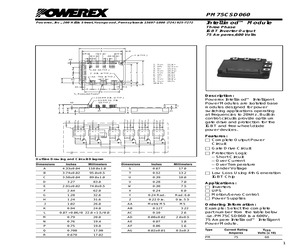 PM75CSD060.pdf