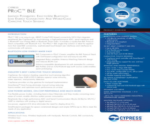 CYBL11473-56LQXI.pdf