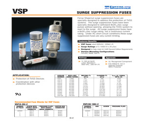 VSP100.pdf