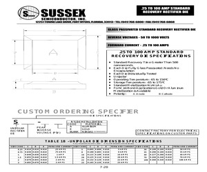 S100-1000.pdf