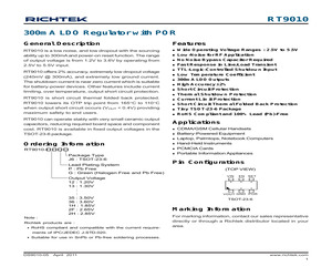 RT9010-13GJ6.pdf