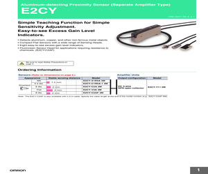 E2CY-T11.pdf