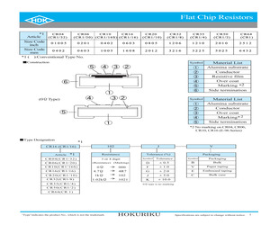 CR101000FB.pdf