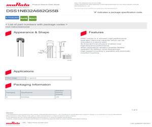 DSS1NB32A682Q55B.pdf