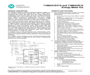 71M6541D-IGTR/F.pdf