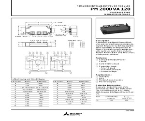 PM200DVA120.pdf