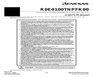 R0E0100TNPFK00.pdf