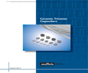 TZB4Z250BA10R01.pdf