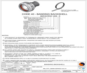 BNX40AB00-1006AX.pdf