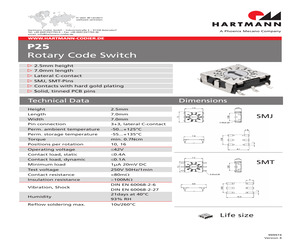 P25SMT303.pdf