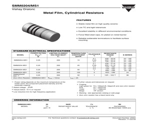 SMM0204-MS125316R0.1%B1.pdf