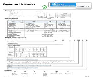 CN10TX131ZH.pdf