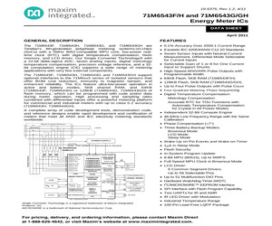 71M6543F-IGT/F.pdf