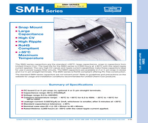 ESMH451VRT391MB35T.pdf