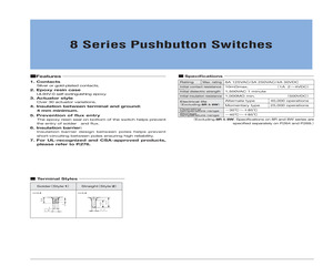 8P3021-Z.pdf