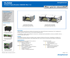 RJSSE538002T.pdf