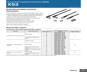 XS3FM421402A.pdf