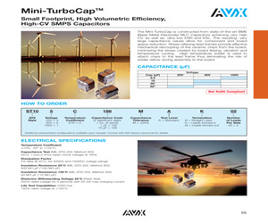 ST101C825MAN02.pdf