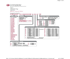 CM309B24.576MBPKB.pdf