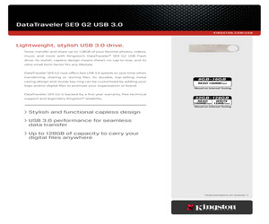 DTSE9G2/8GB.pdf